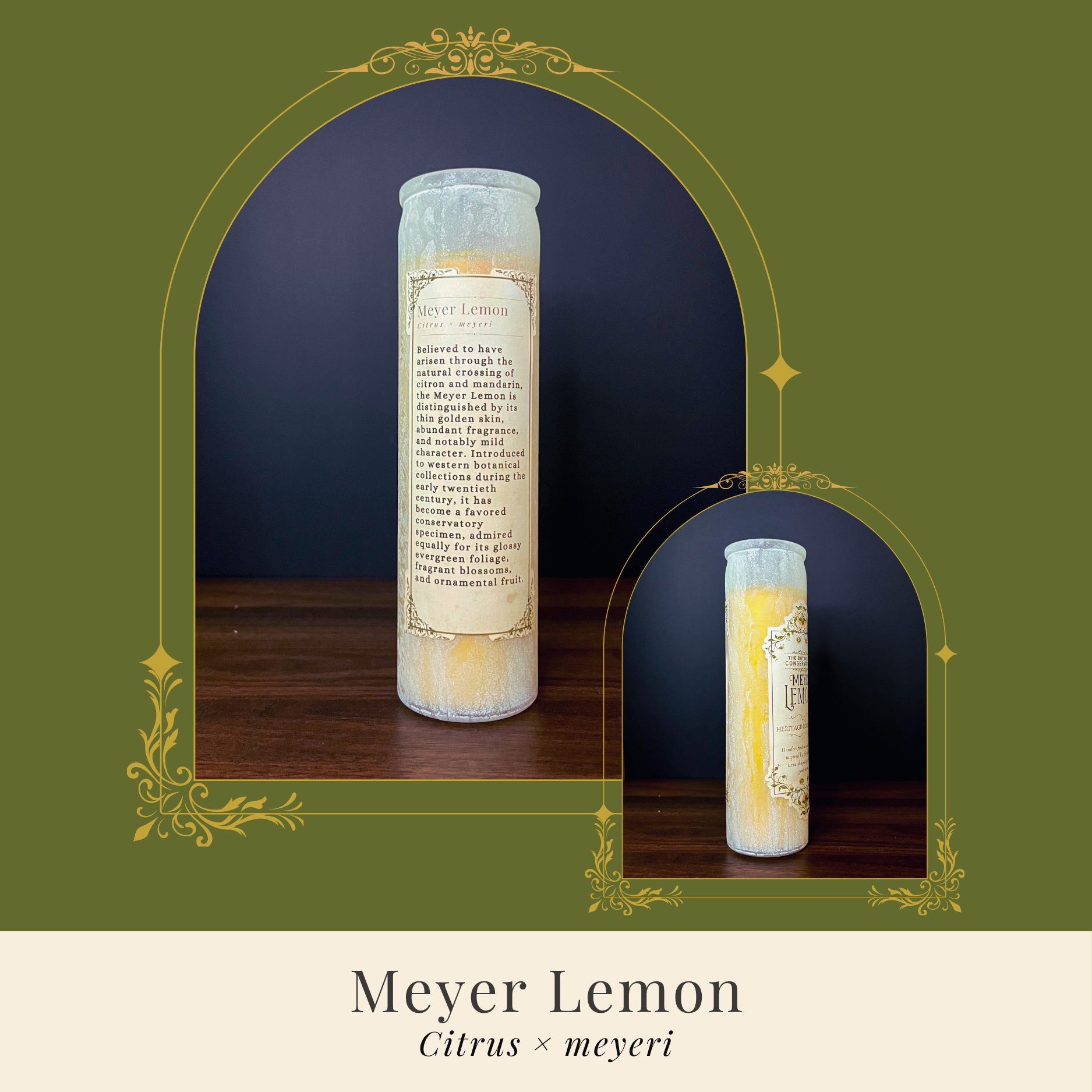 Meyer Lemon Candle