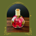 Red Rose Botanical Specimen