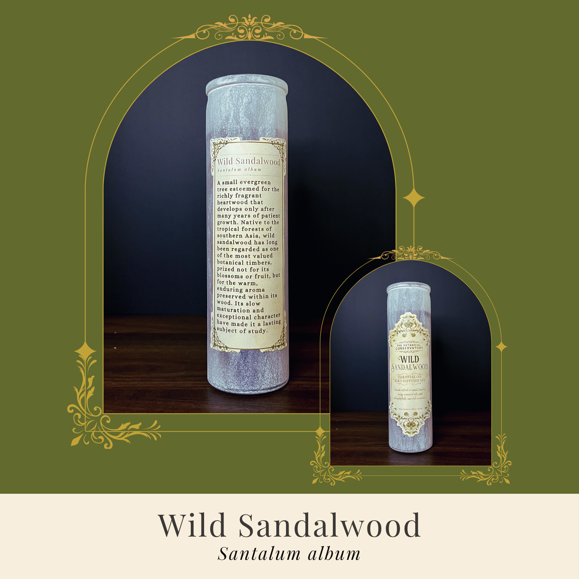 Wild Sandalwood Candle