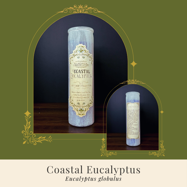 Coastal Eucalyptus Candle