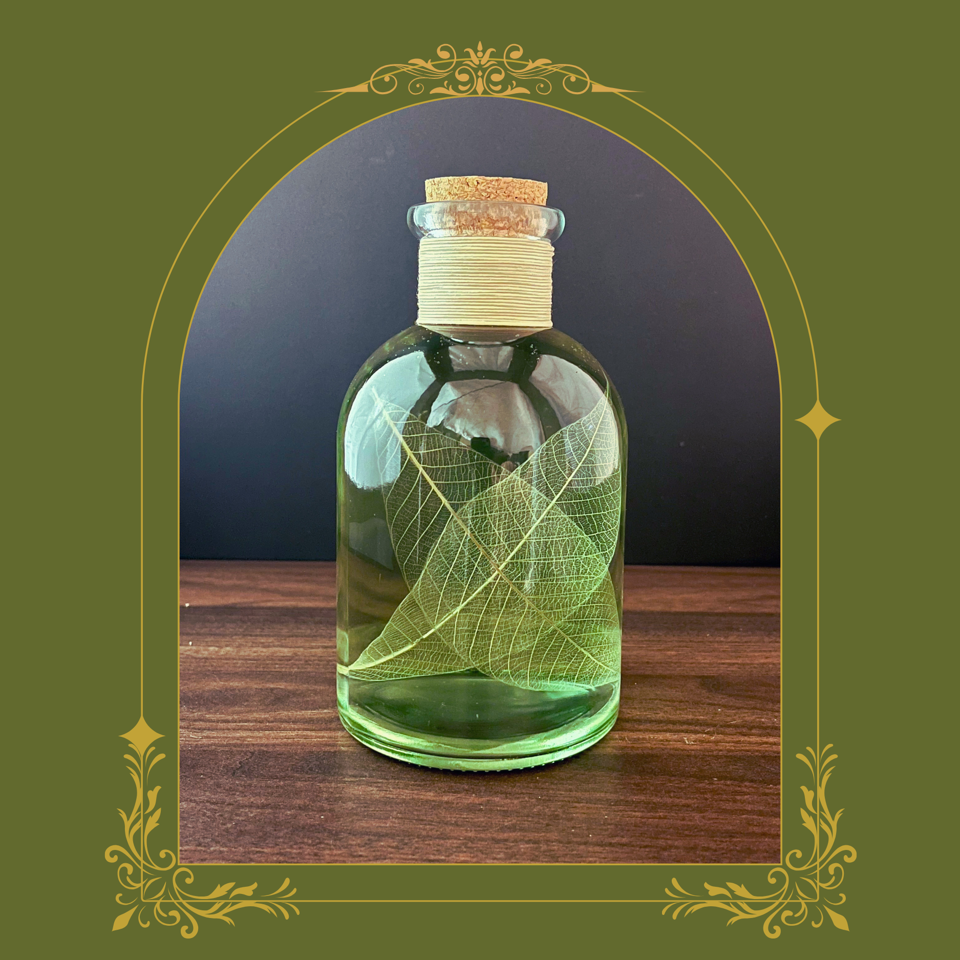 Green Leaf Botanical Specimen