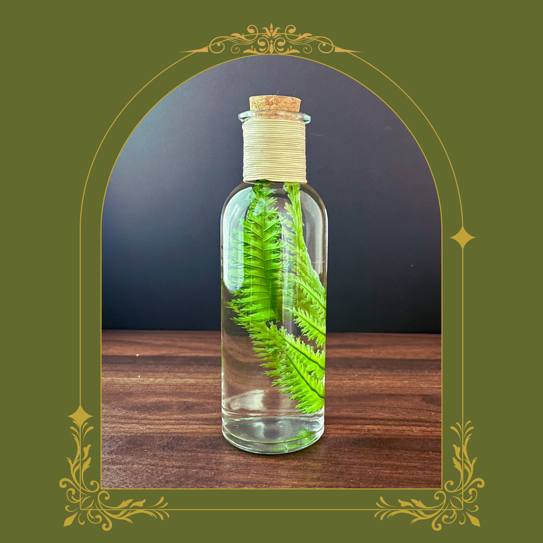 Fern Botanical Specimen