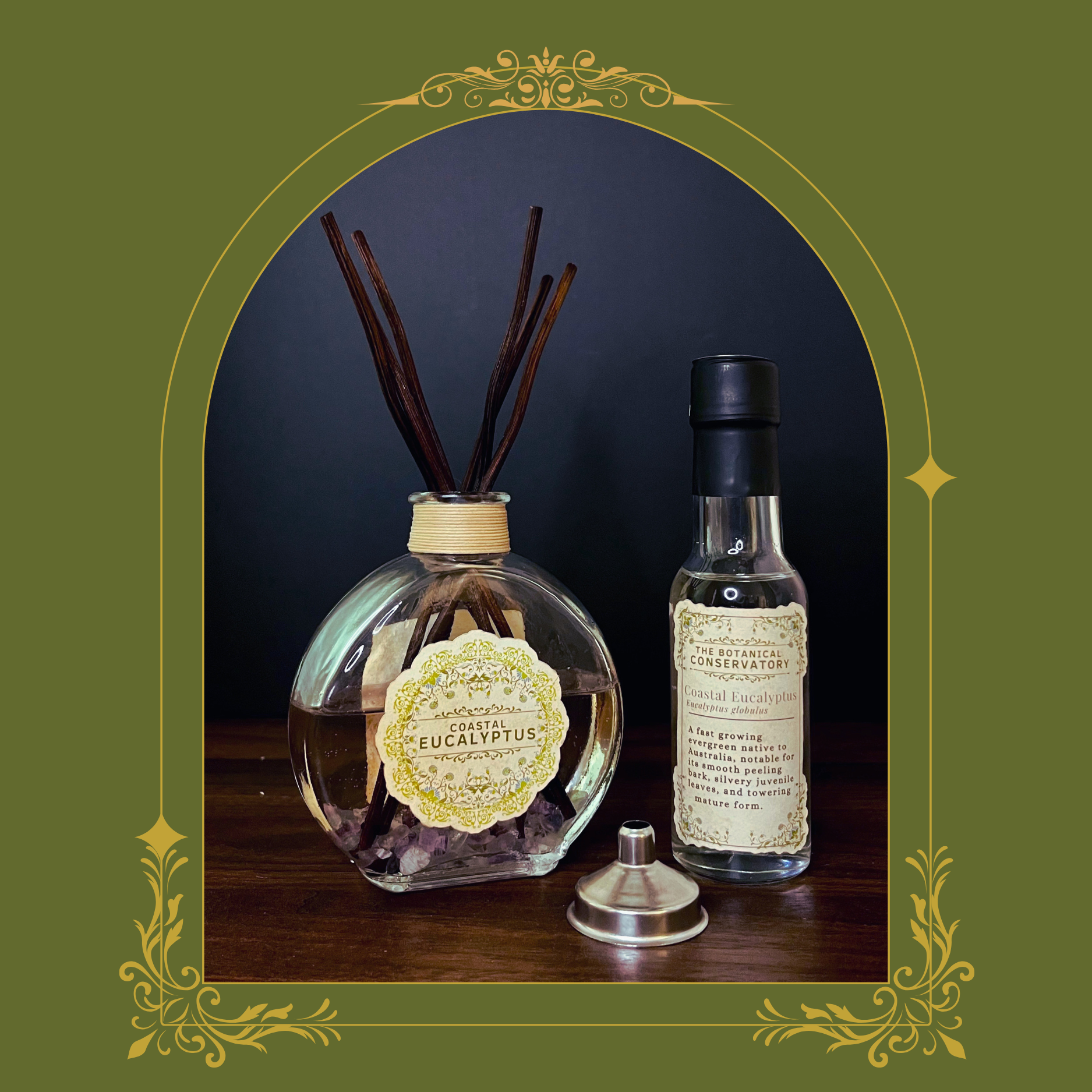 Coastal Eucalyptus Reed Diffuser Set