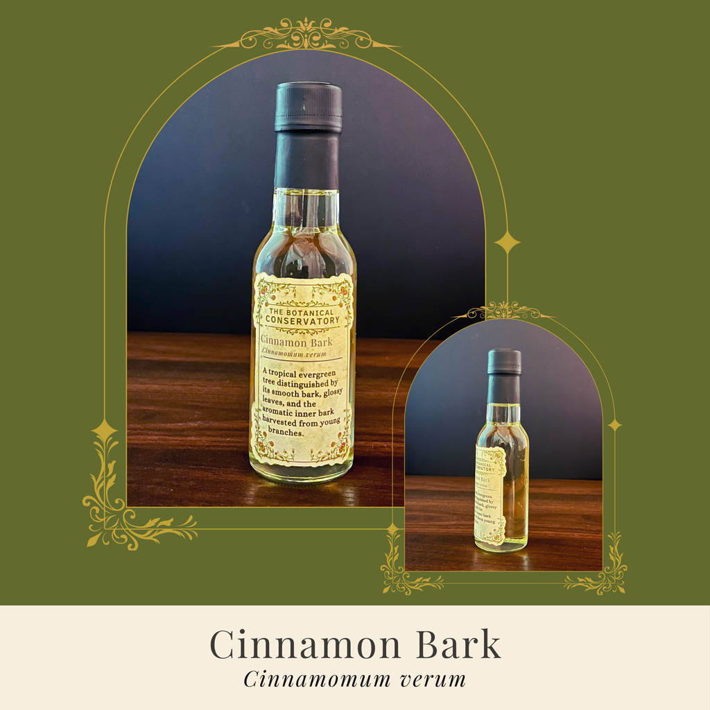 Cinnamon Bark Reed Diffuser Set
