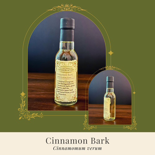 Cinnamon Bark Reed Diffuser Set