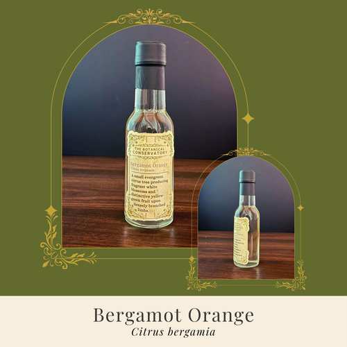 Bergamot Orange Reed Diffuser Set