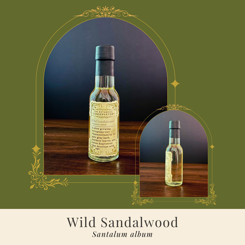 Wild Sandalwood Reed Diffuser Set