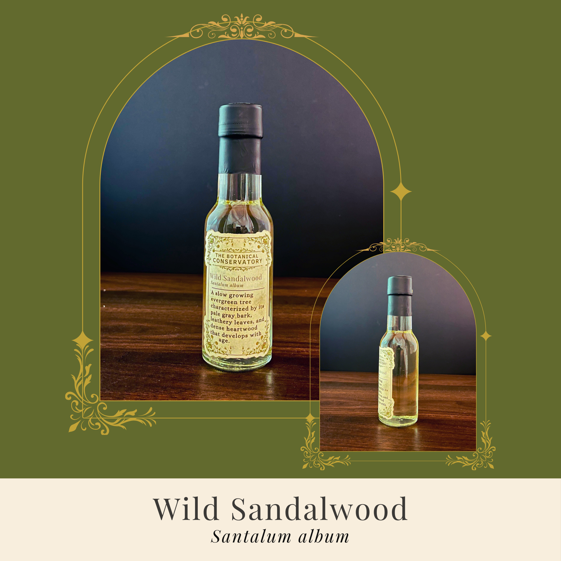 Reed Diffuser Oil Refill