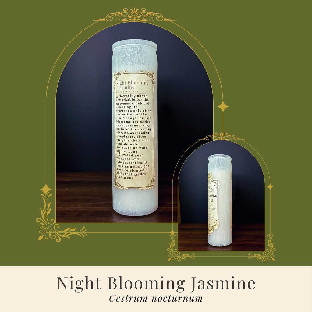 Night Blooming Jasmine Candle