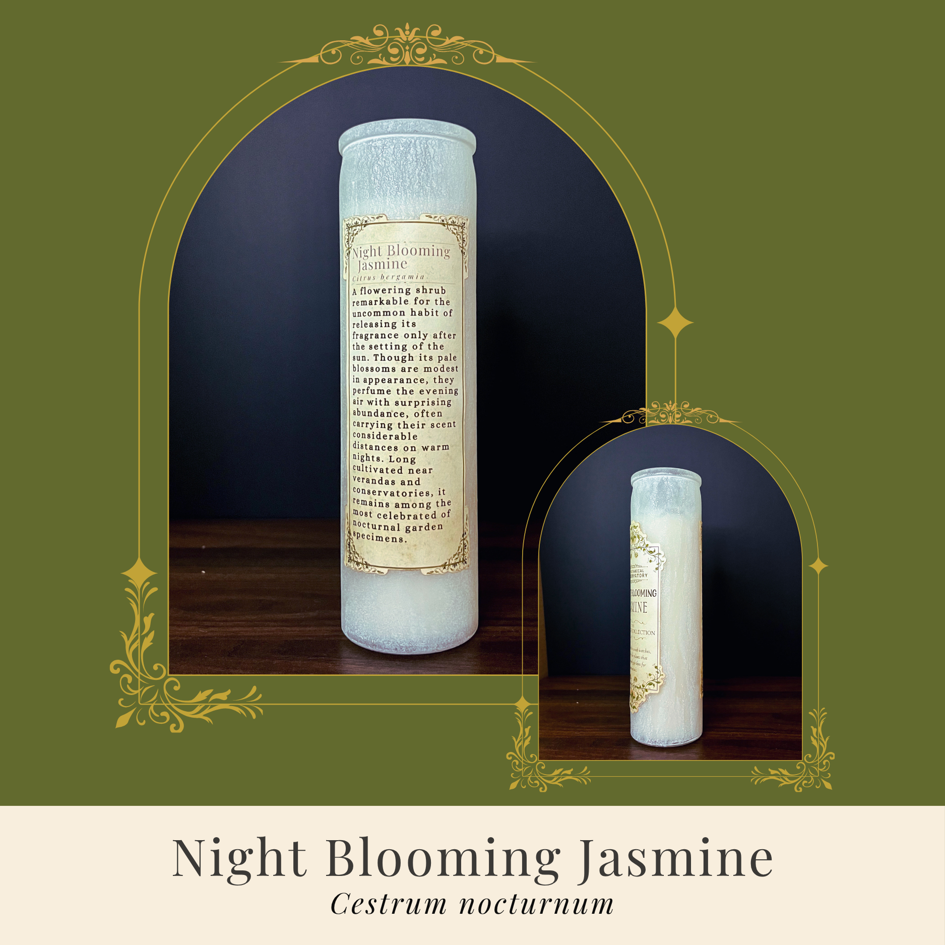 Night Blooming Jasmine Candle