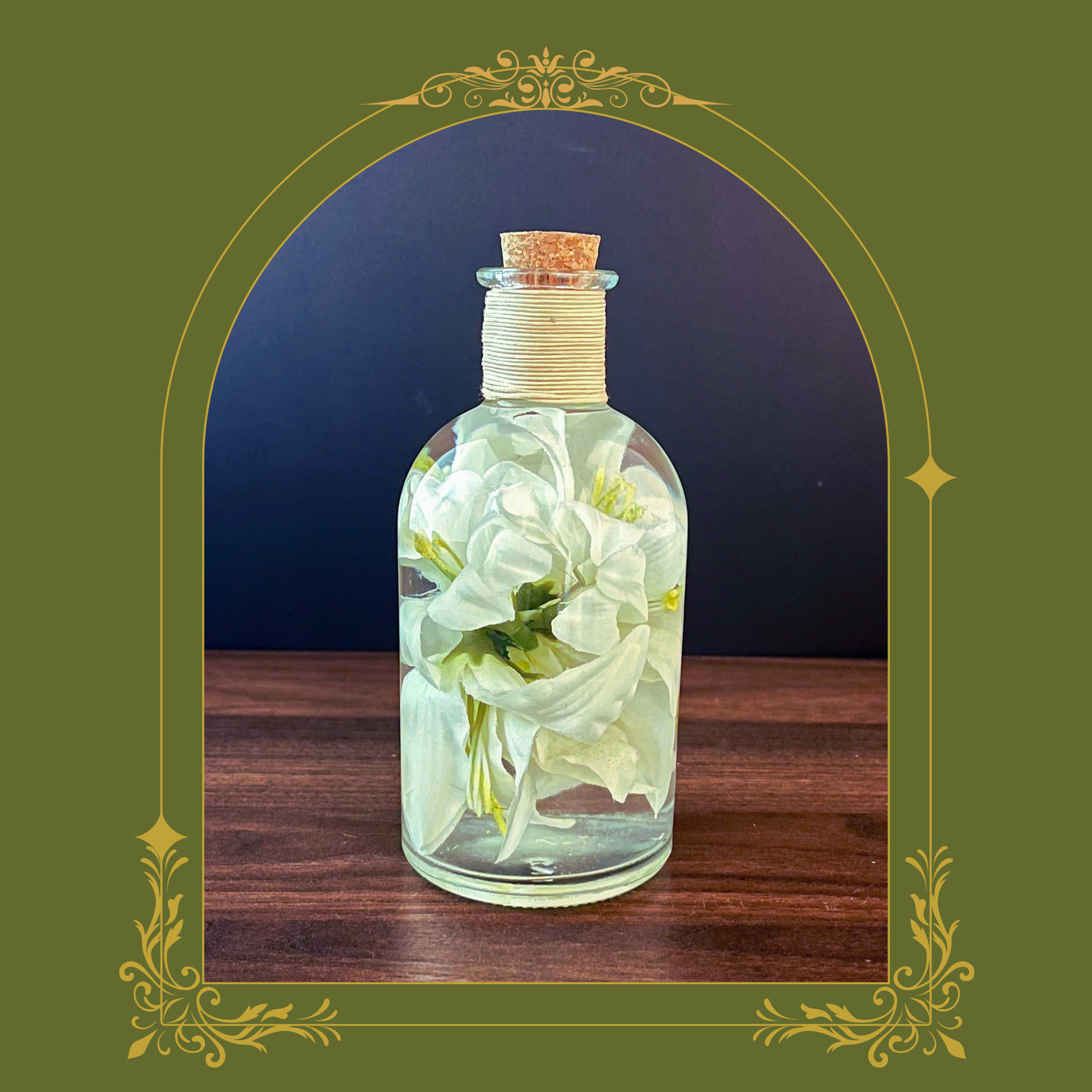 White Lily Botanical Specimen