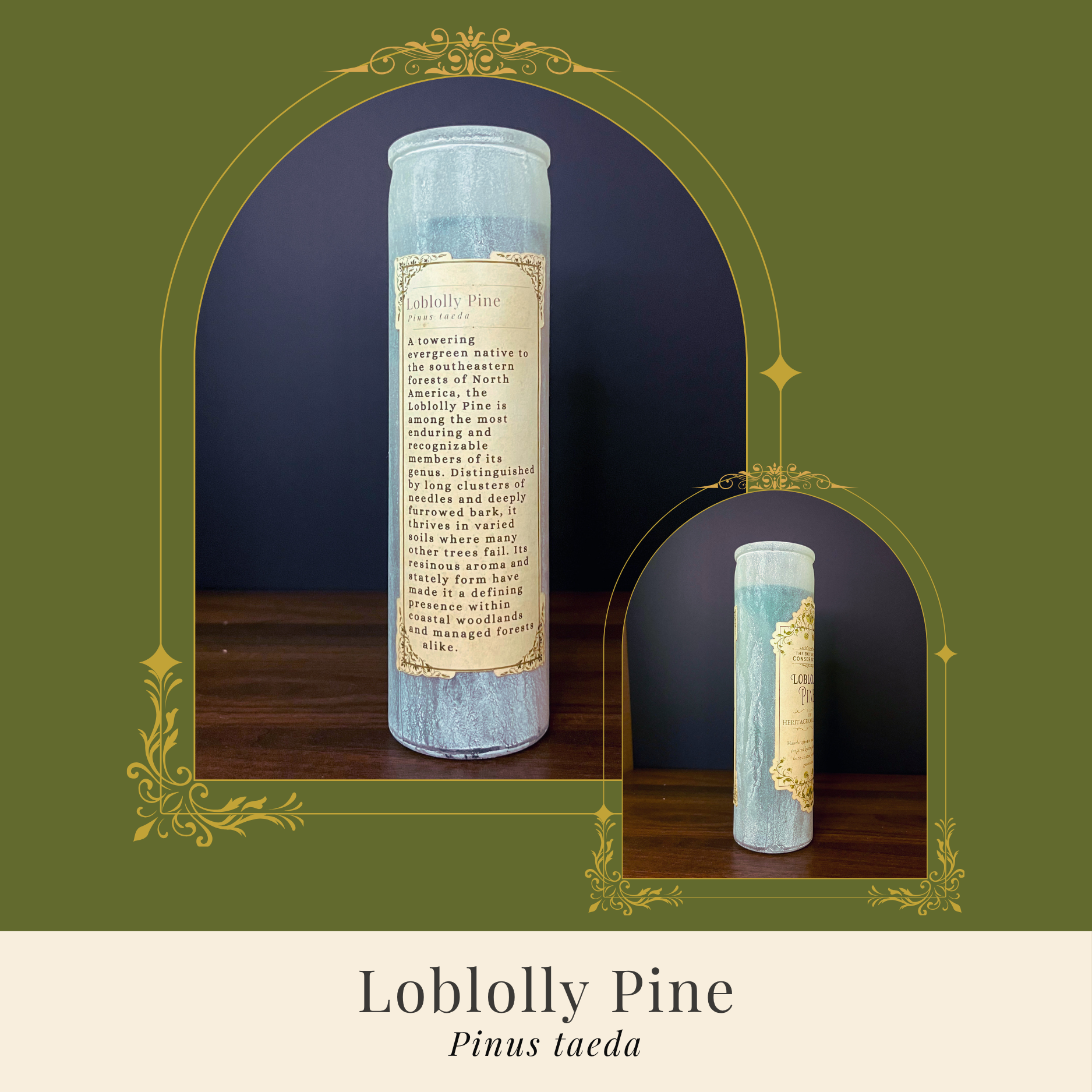 Loblolly Pine Candle