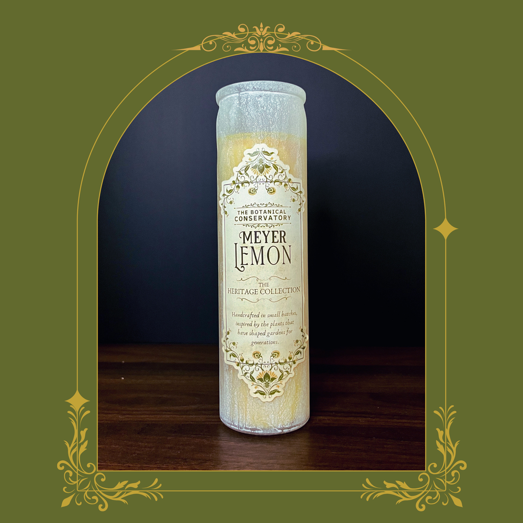 Meyer Lemon Candle