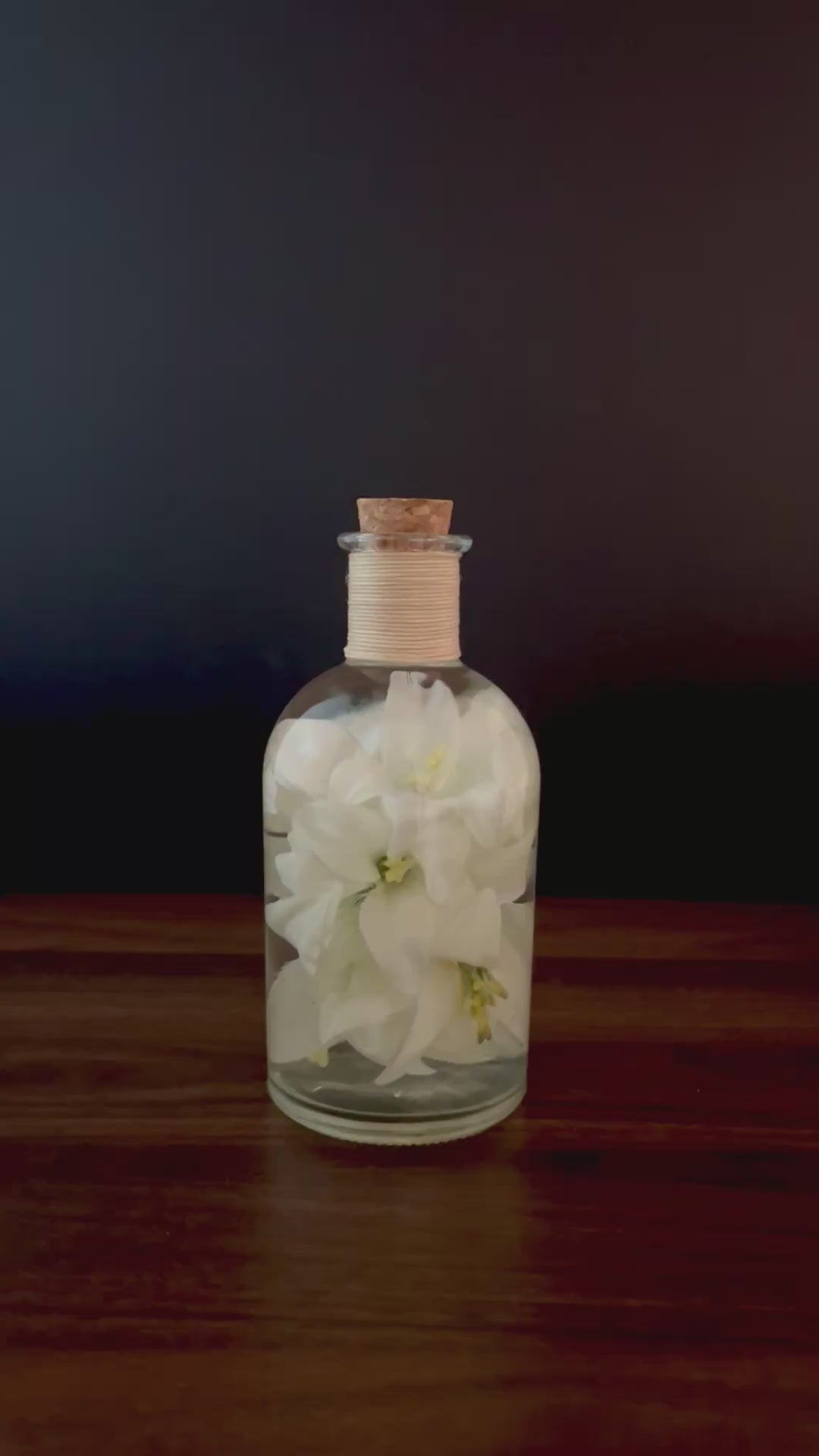 White Lily Botanical Specimen