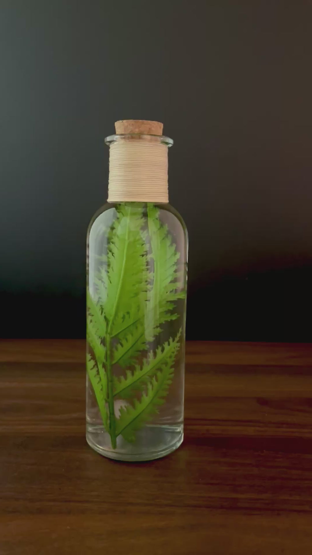 Fern Botanical Specimen