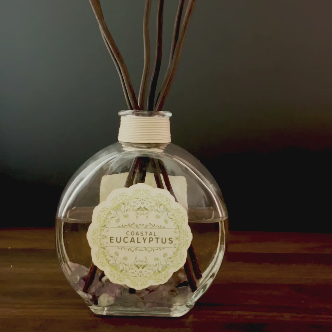 Coastal Eucalyptus Reed Diffuser Set