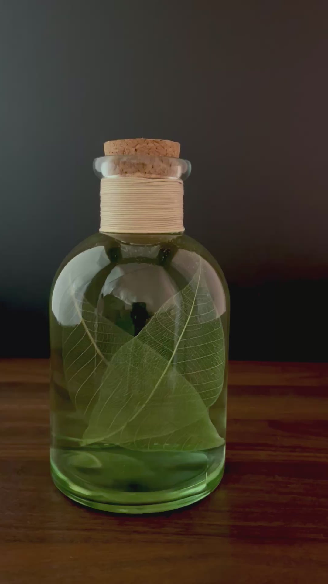 Green Leaf Botanical Specimen