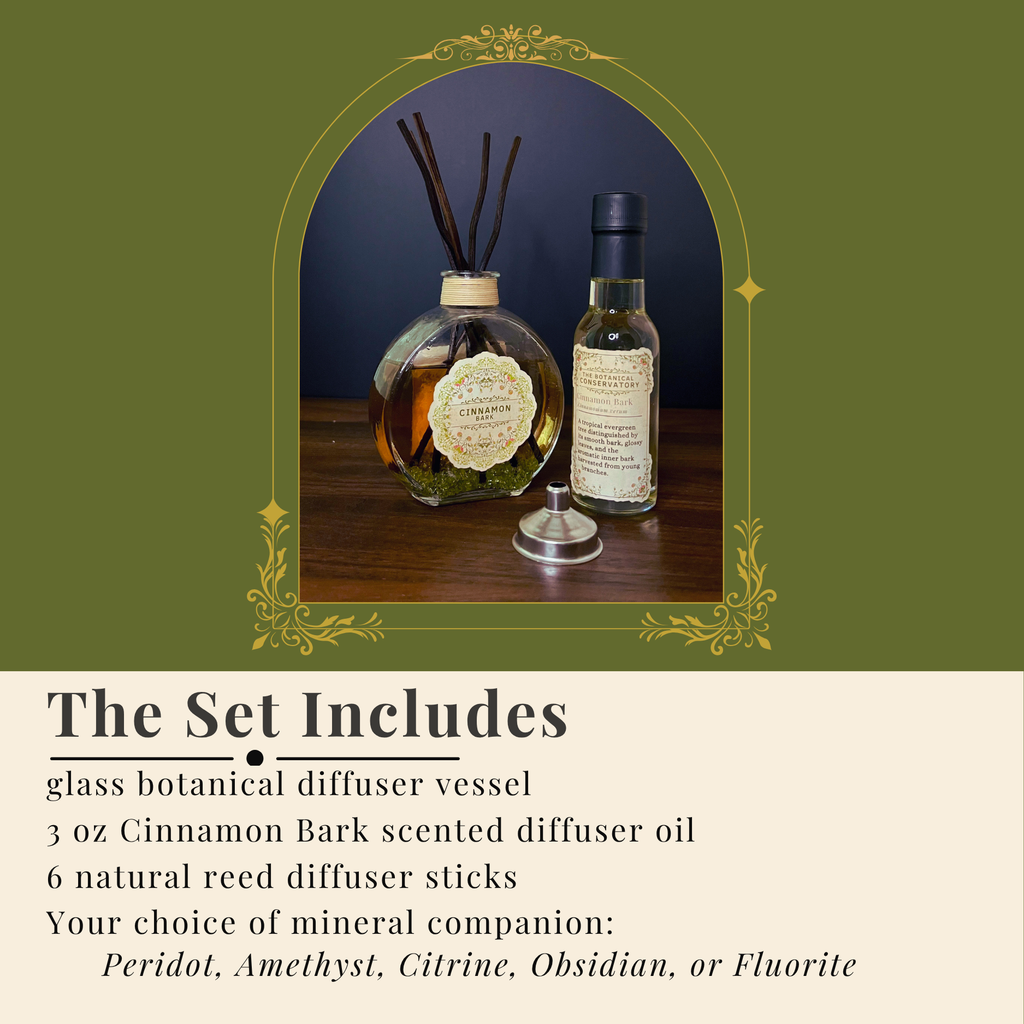 Cinnamon Bark Reed Diffuser Set