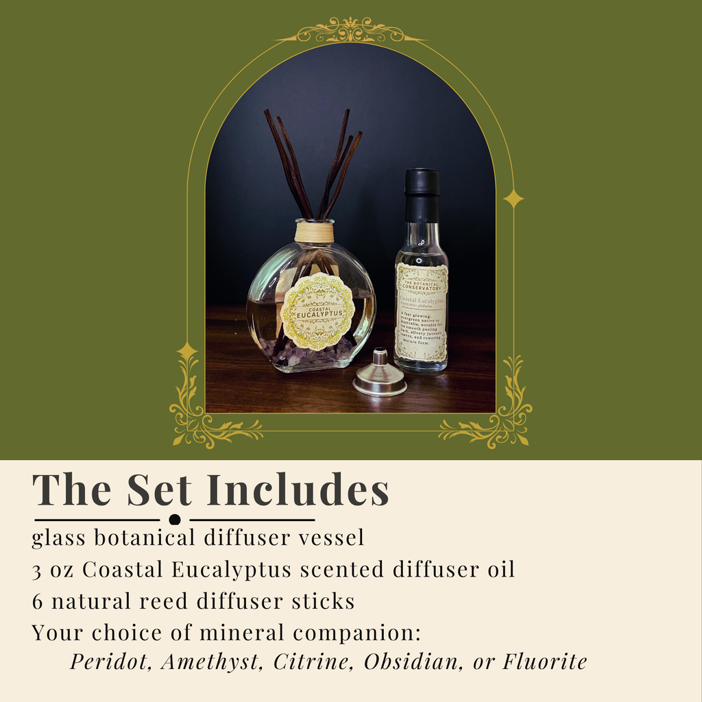 Coastal Eucalyptus Reed Diffuser Set