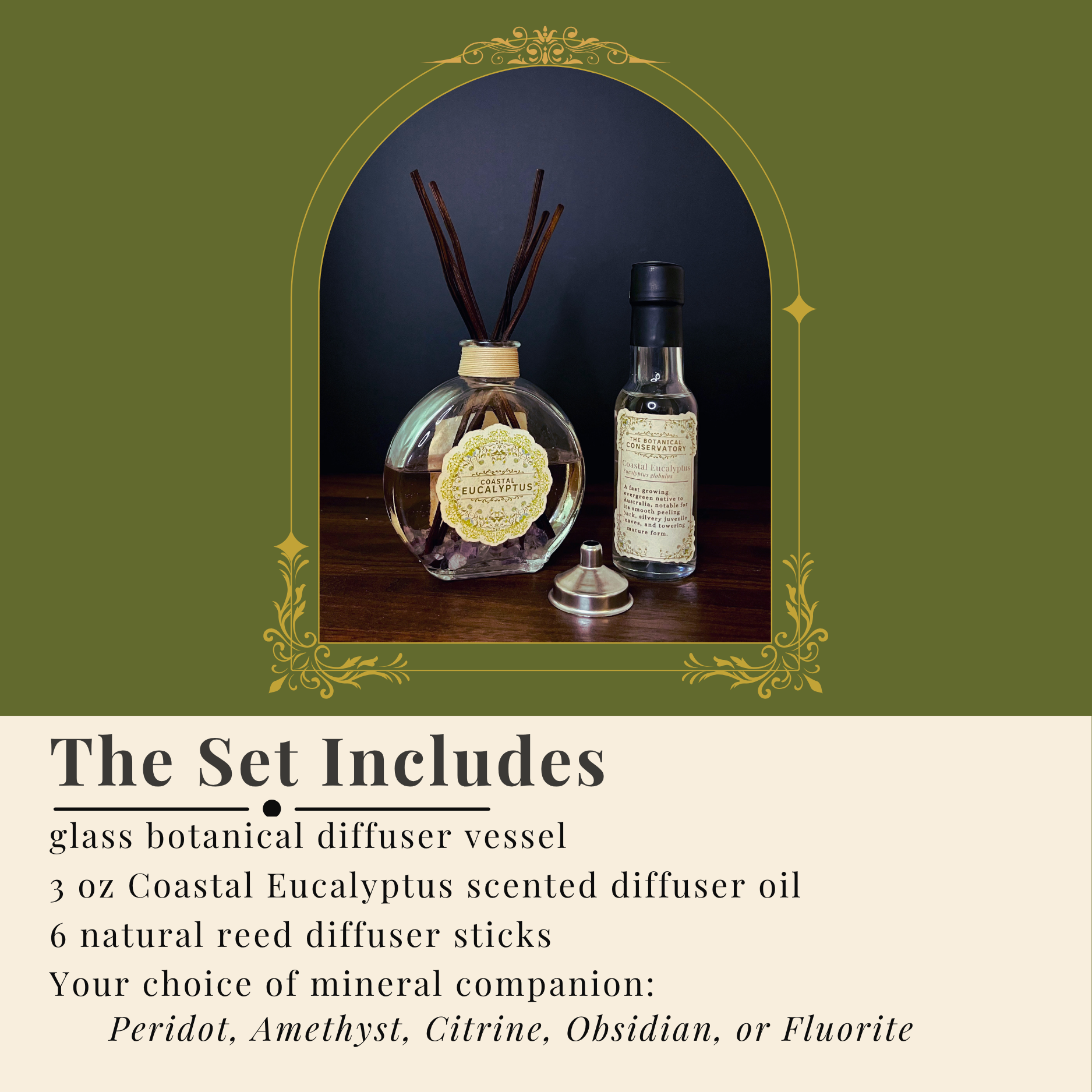 Coastal Eucalyptus Reed Diffuser Set