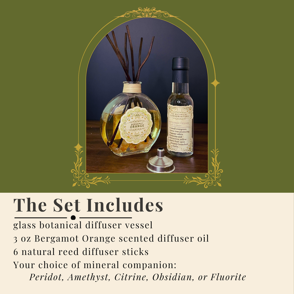 Bergamot Orange Reed Diffuser Set